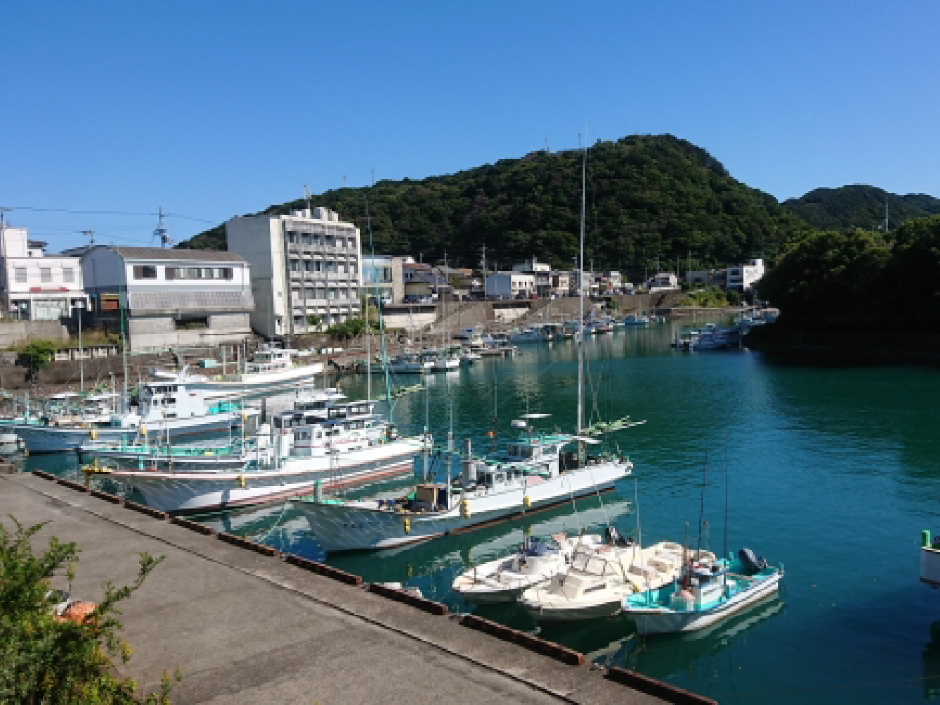 室津の牡蠣直売所（室津漁港）