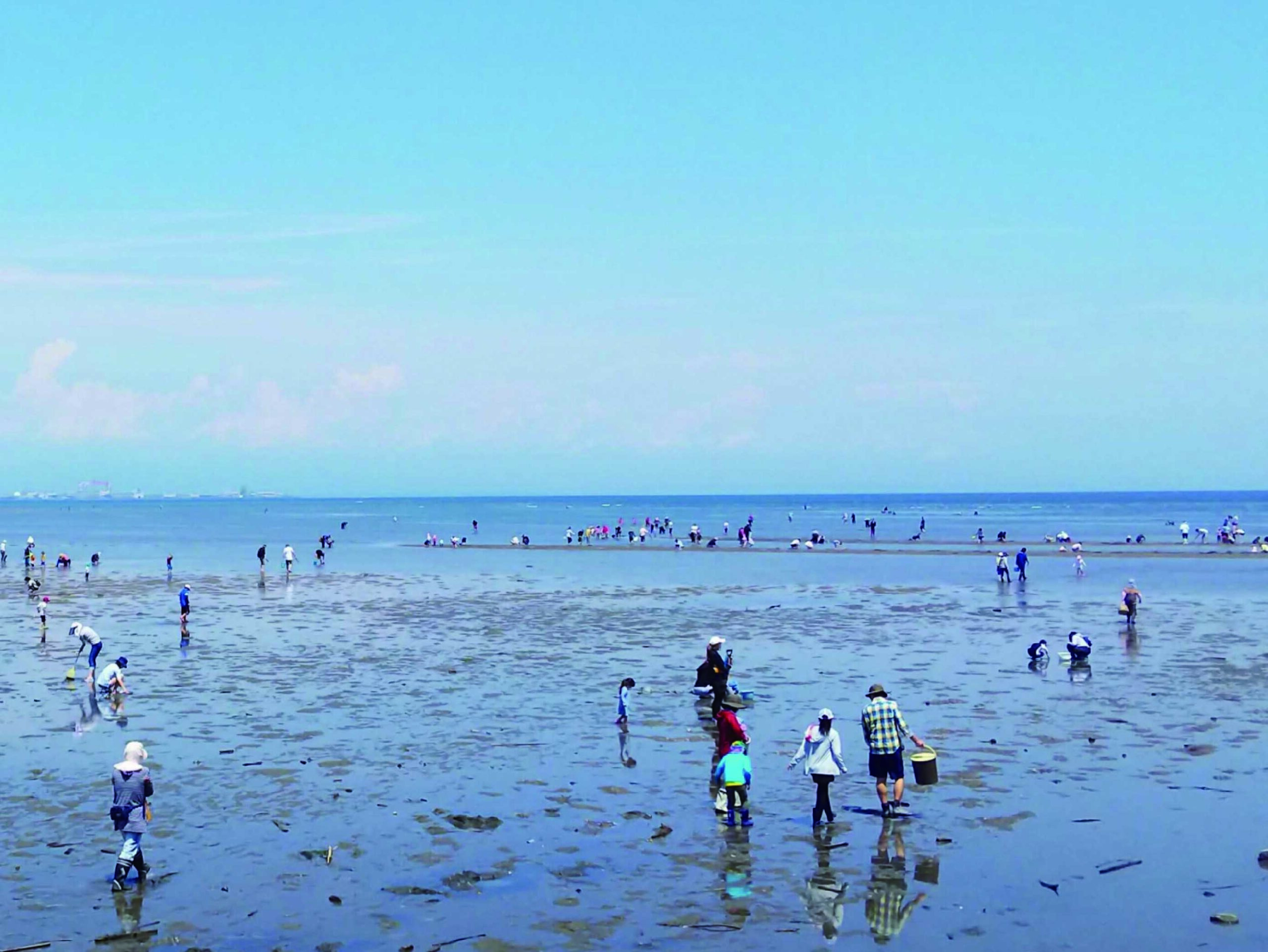 新舞子海水浴場・潮干狩場
